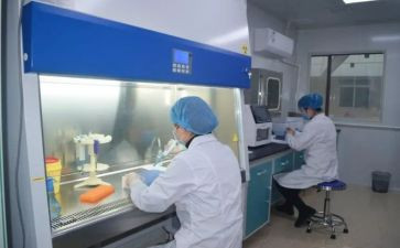 化验员个人年度总结5篇