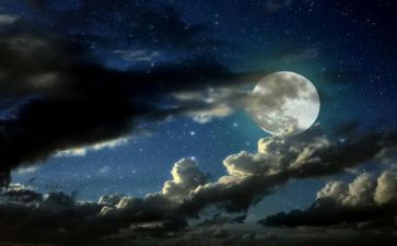 夜莺教学反思模板5篇