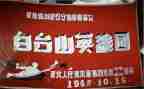 英雄儿女观看心得体会6篇