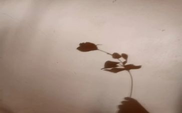 中班影子教案8篇
