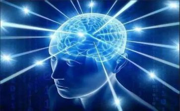 命责任意识心得体会5篇