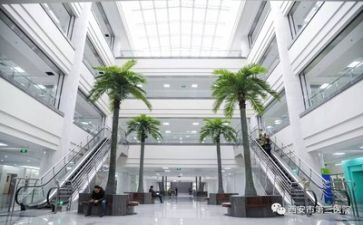 医院年度工作总结个人总结8篇