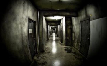 医院年度述职报告6篇