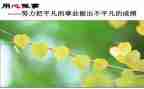 信息技术应用心得体会通用7篇