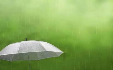 故事雨来的心得体会模板5篇