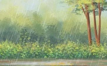 家乡的雨作文参考7篇