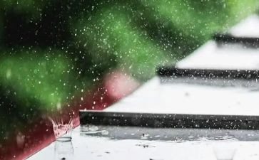 我心目中的雨作文最新7篇
