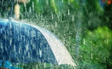 雨读后感500字优秀8篇