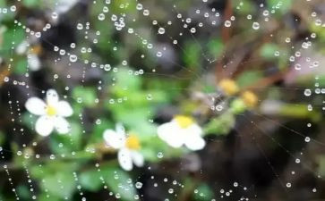 小英雄雨来的故事读后感推荐5篇