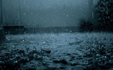 故事雨来的心得体会优质7篇