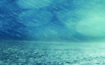 雨观后感300字最新8篇