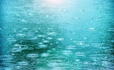 雨读后感500字精选5篇