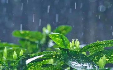 雨天的路作文参考6篇