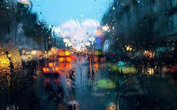 雨观后感500字优质8篇