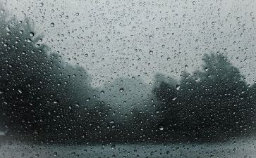 雨观后感500字8篇