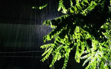 公司雨合同模板6篇