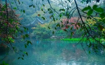 雨中教案7篇
