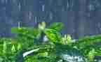 音乐《大雨小雨》教案8篇