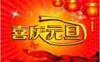 2024年幼儿园元旦活动总结推荐5篇