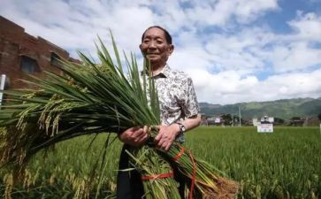 袁隆平的作文400字6篇