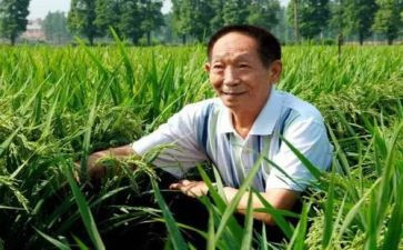 袁隆平生平事迹心得体会8篇