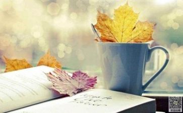 教师阅读力心得体会6篇