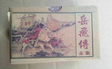 岳飞传读后感500字6篇