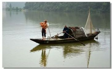 渔夫与鱼读后感5篇