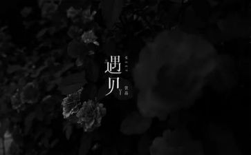 遇见类作文优质7篇