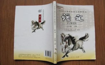 语文老师的作文500字6篇