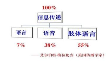 语言教案精选5篇