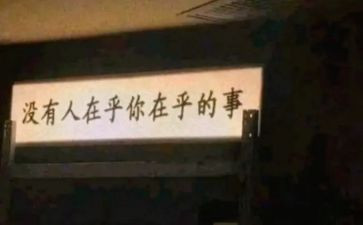 其实我在乎你800作文8篇