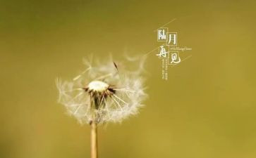 再见我亲爱的母校作文8篇