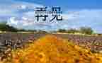 再见——的作文推荐5篇