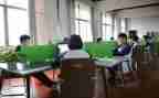 在校外吃申请书8篇