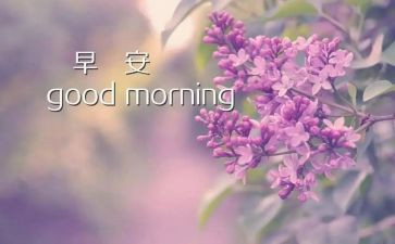 早教年工作计划最新8篇