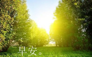 早教的心得体会6篇