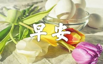 早教老师心得体会6篇