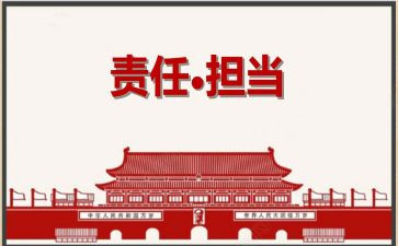 主体责任总结报告7篇