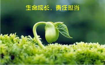 中国责任担当作文7篇