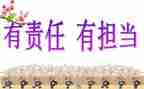 责任的工作总结优秀8篇