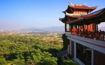 学习漳州110心得体会6篇
