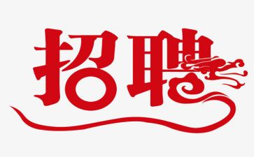 颍上招聘工作总结模板7篇
