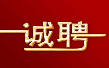 颍上招聘工作总结6篇