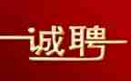 颍上招聘工作总结6篇