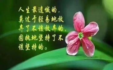 哲理与人生演讲稿精选7篇