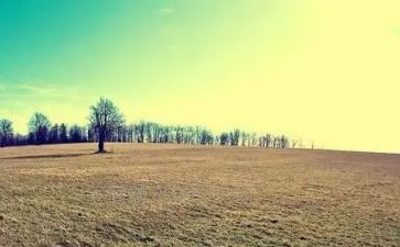 哲理与人生演讲稿8篇