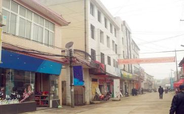 镇领导个人述职报告精选7篇