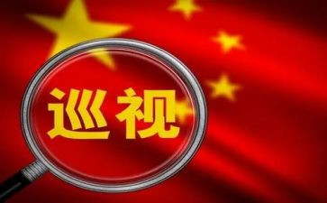 2024年药店医保整改报告5篇
