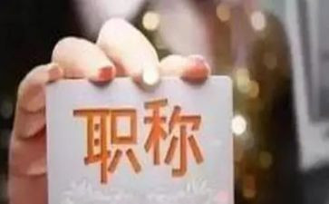 正高级工程师述职报告7篇